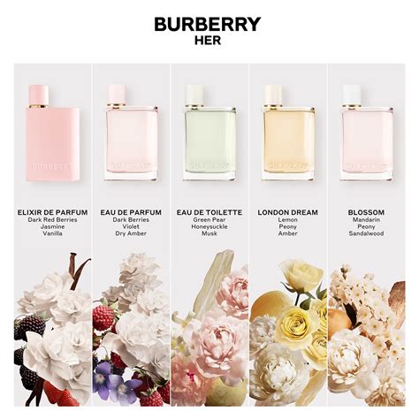 50 Best Dupes for Brit for Her Eau de Parfum by Burberry 